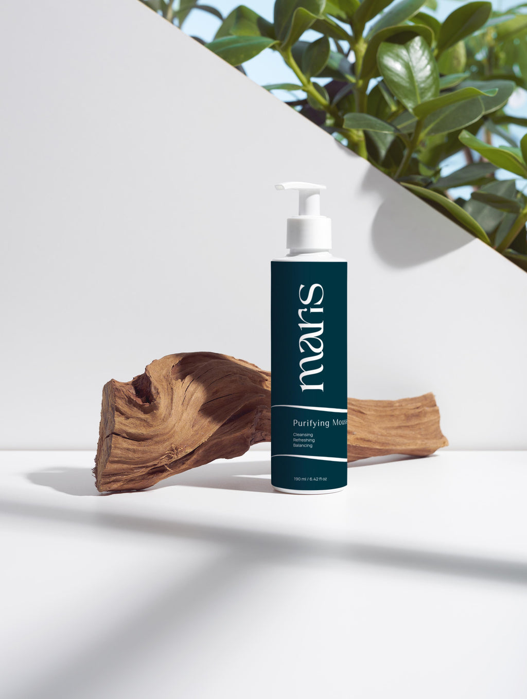 Purifying Mousse with Aloe